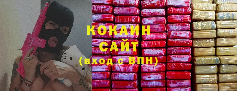 Кокаин FishScale  дарнет шоп  Бикин 